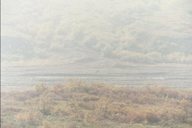 ak04_114
