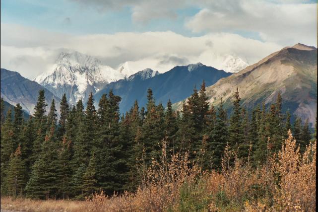 ak04_225