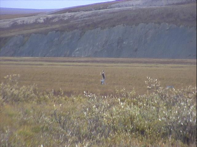ak04_061