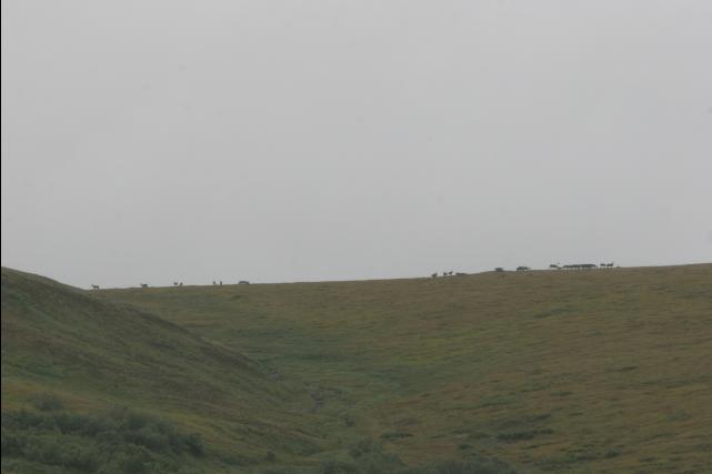 IMG_1078