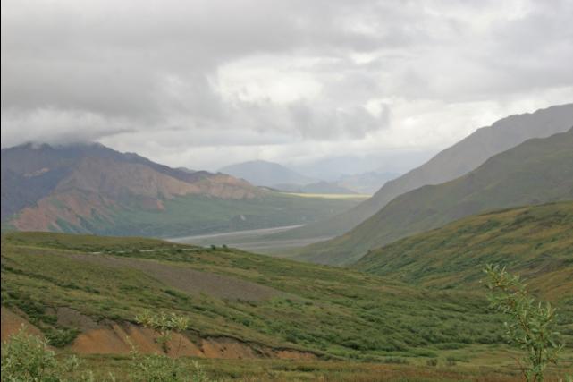 IMG_1162