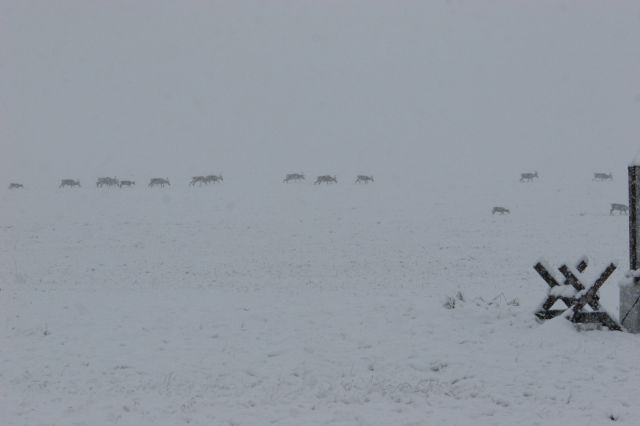 IMG_1389