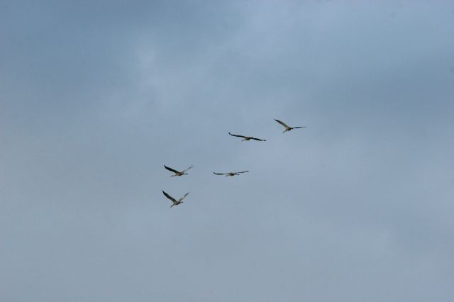 IMG_1671