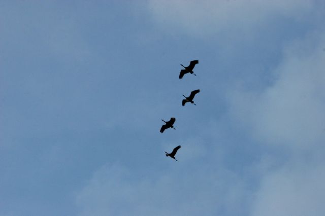 IMG_1672