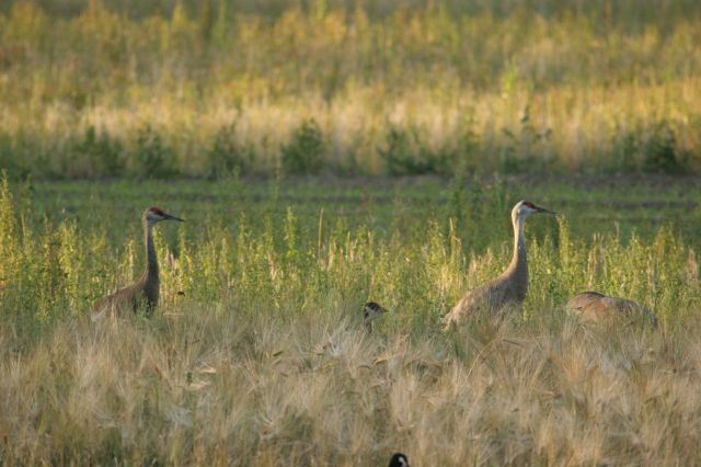 IMG_1675