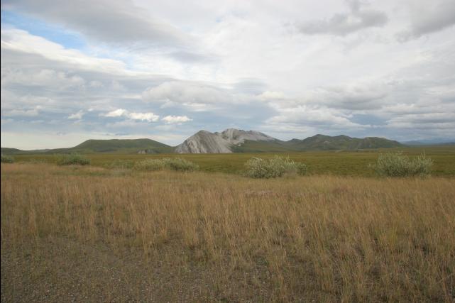 rhs22877