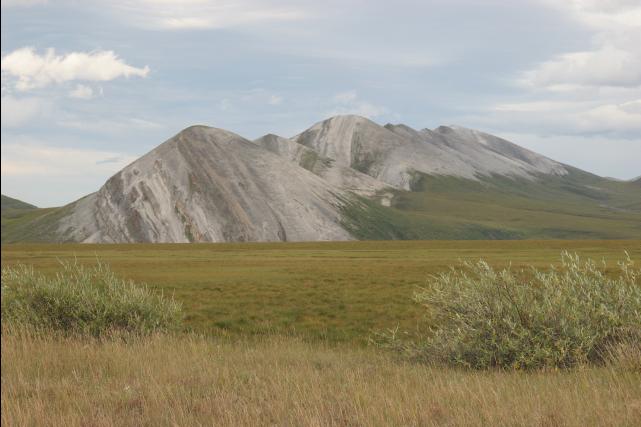 rhs22878