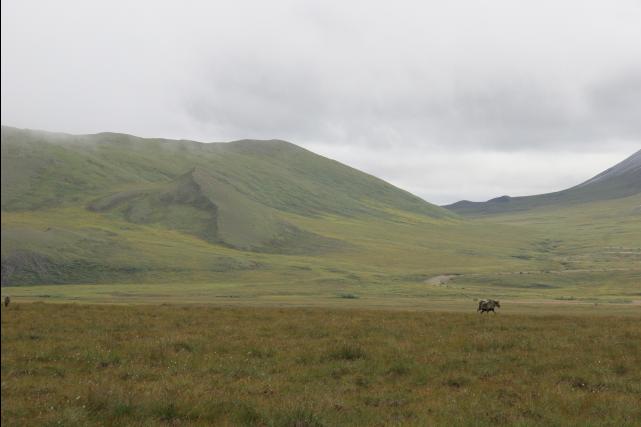 rhs22910