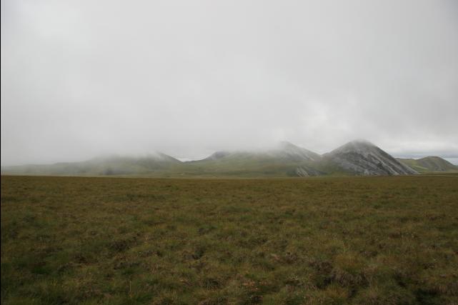 rhs22912
