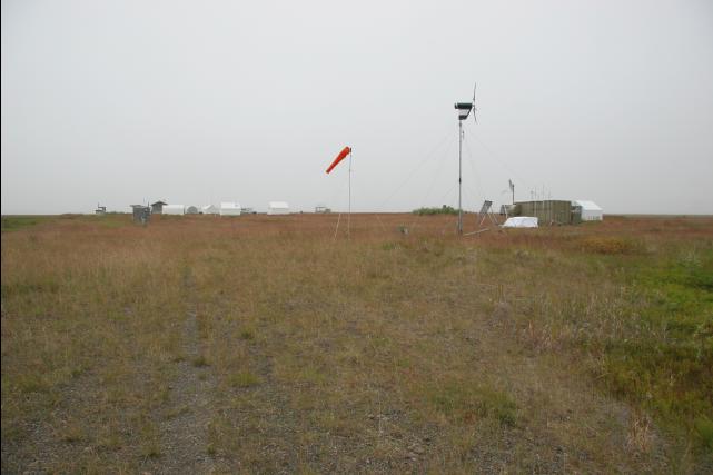 rhs22919
