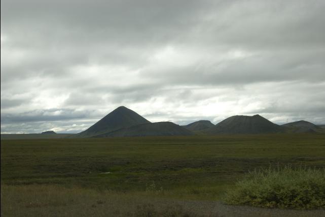 rhs22951