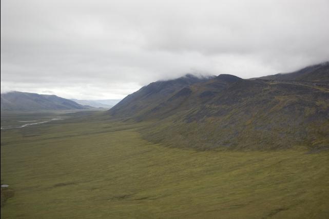 rhs22954