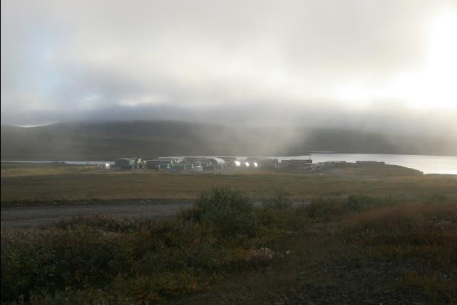 rhs23124