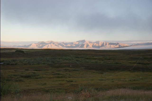 rhs23125