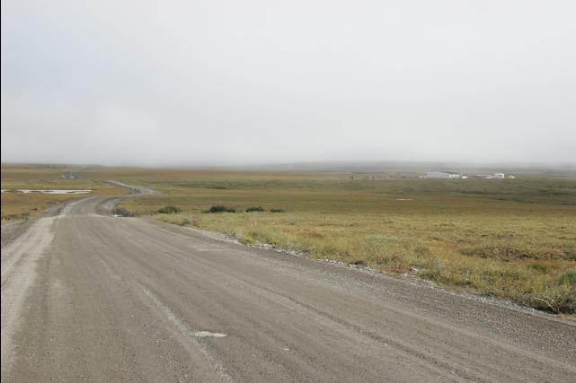 rhs23145