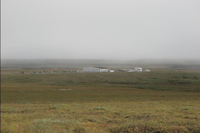 rhs23146