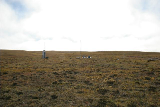 rhs23152