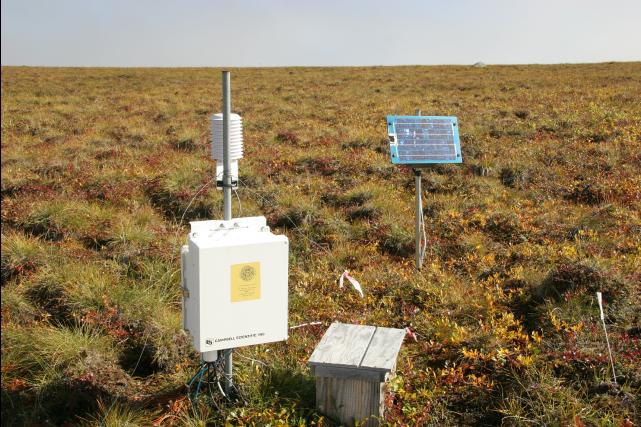 rhs23155