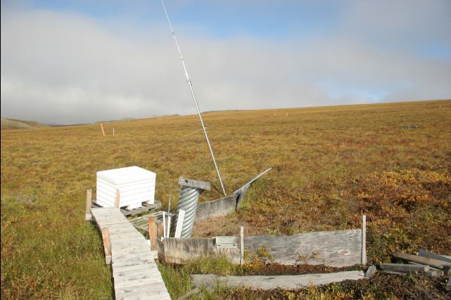rhs23169