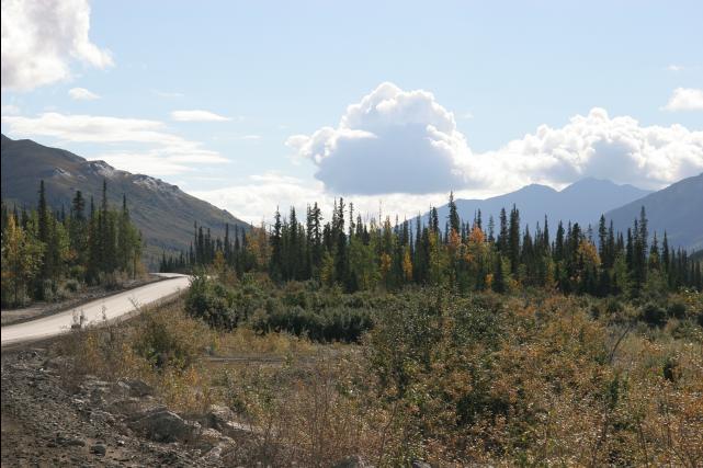 rhs23214