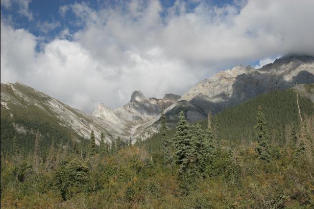 rhs23221