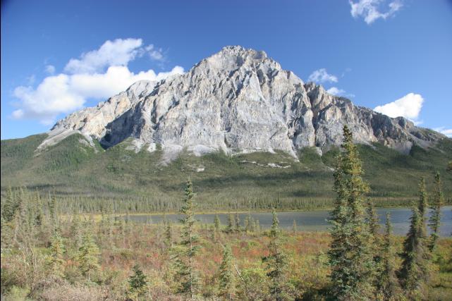 rhs23223