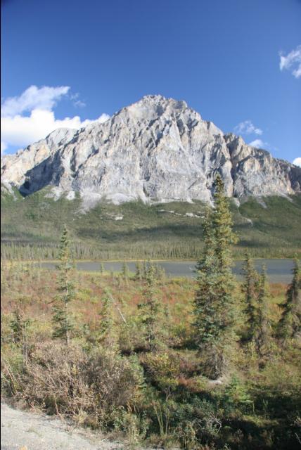 rhs23224