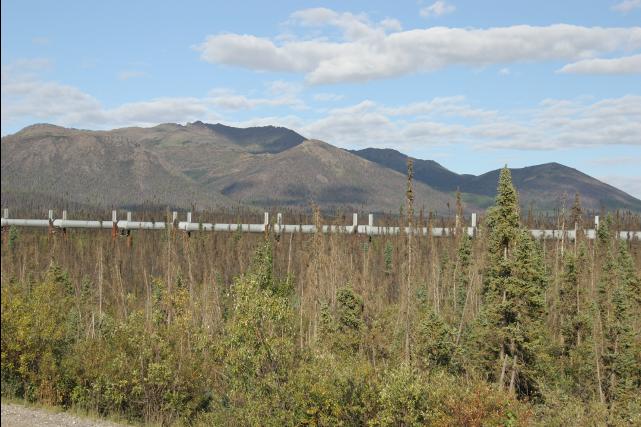 rhs23228