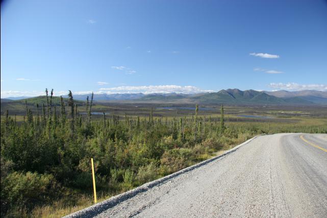 rhs23233