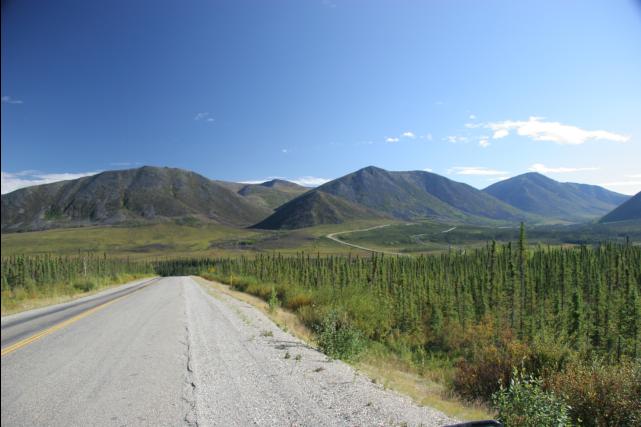 rhs23237