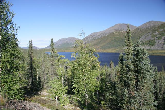 rhs23238