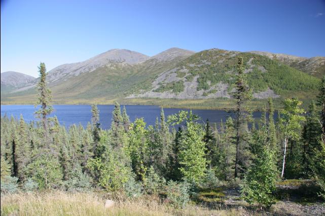 rhs23241