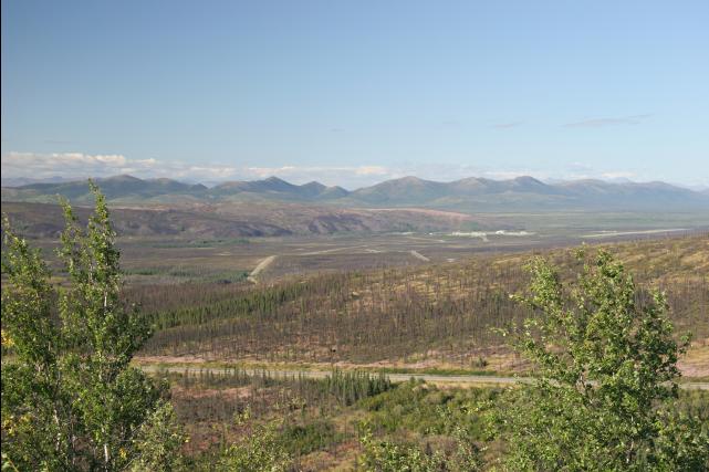 rhs23242