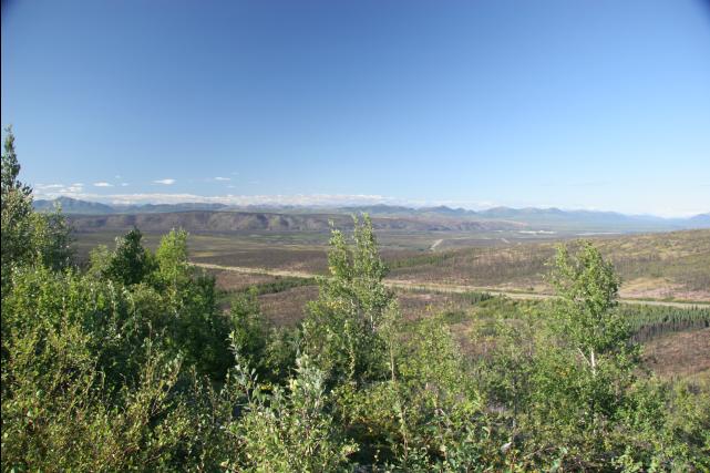 rhs23243