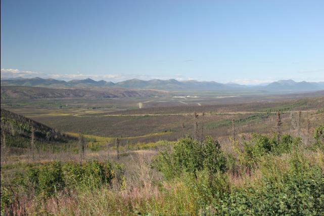 rhs23244