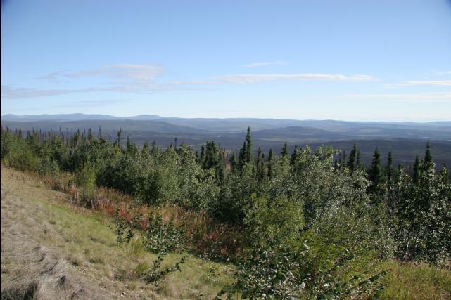 rhs23245