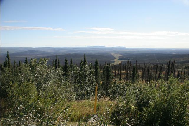 rhs23246