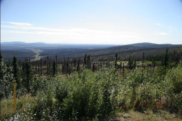rhs23247
