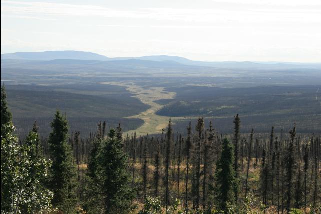 rhs23249