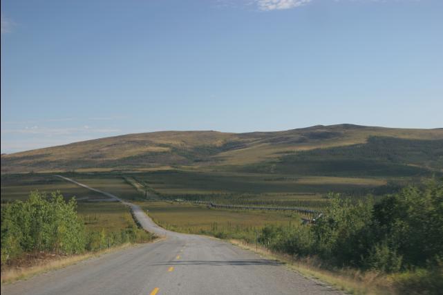 rhs23251