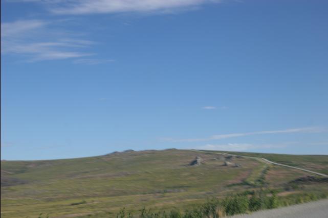 rhs23252