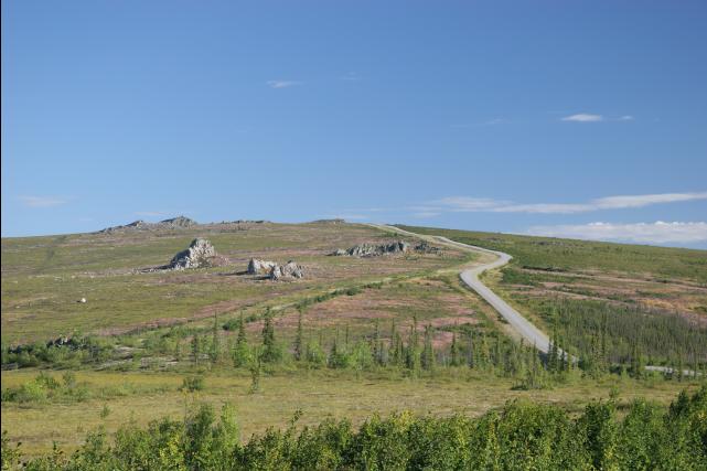 rhs23253