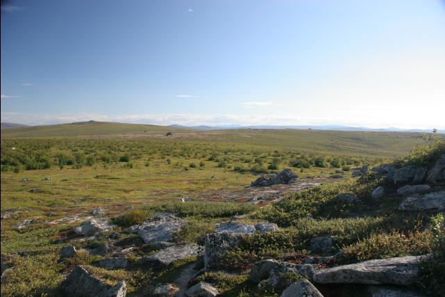 rhs23254