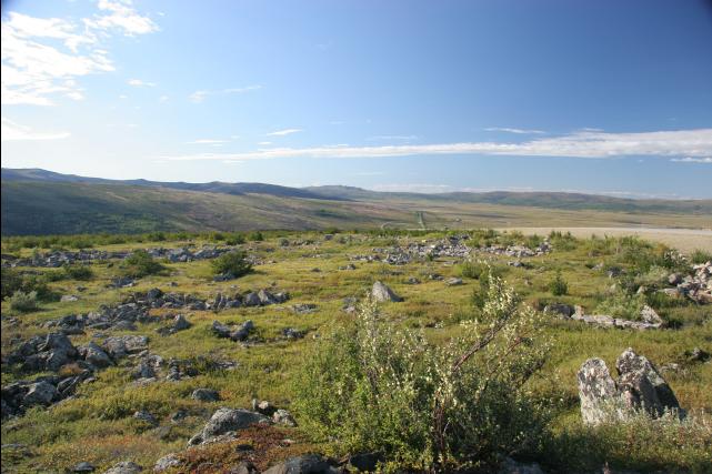 rhs23255