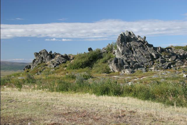 rhs23258