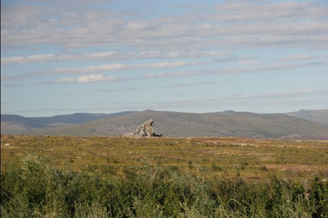 rhs23259