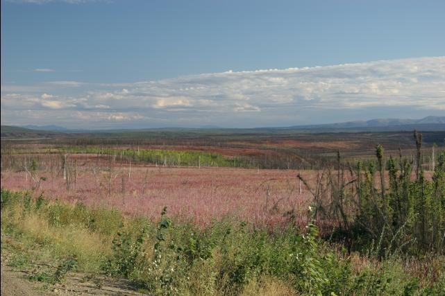rhs23261