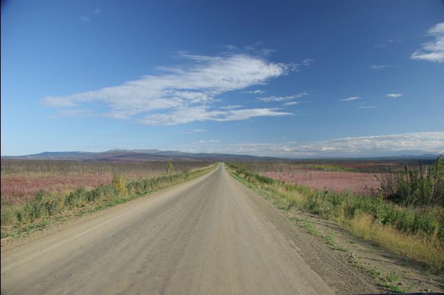 rhs23262
