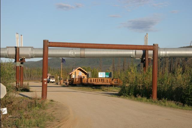 rhs23268