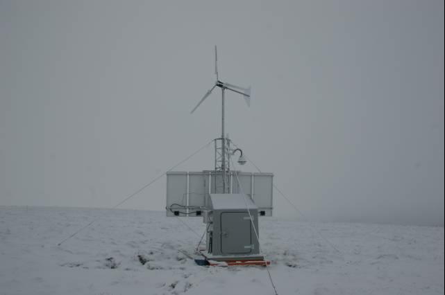 rhs23356